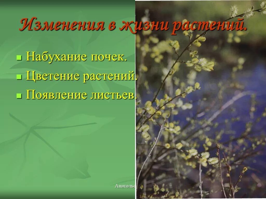 Дата весенние явления замеченные в природе