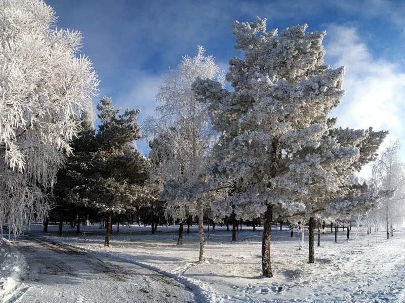 Декабрь картинки. Зима январь. Январь фотографии. Февраль месяц природа. Каким бывает декабрь