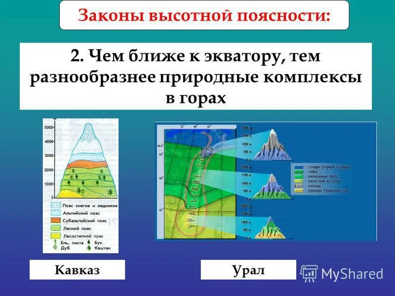 Почему высотная поясность