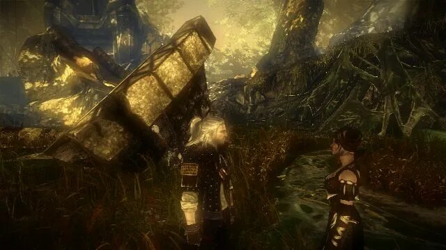 Перенос сохранения из ведьмак 2. Ведьмак 2 сохранения ведьмака 1. Геральт из ривии ведьмак 2. Трисс ведьмак 1. Ведьмак 2 броня ворона.