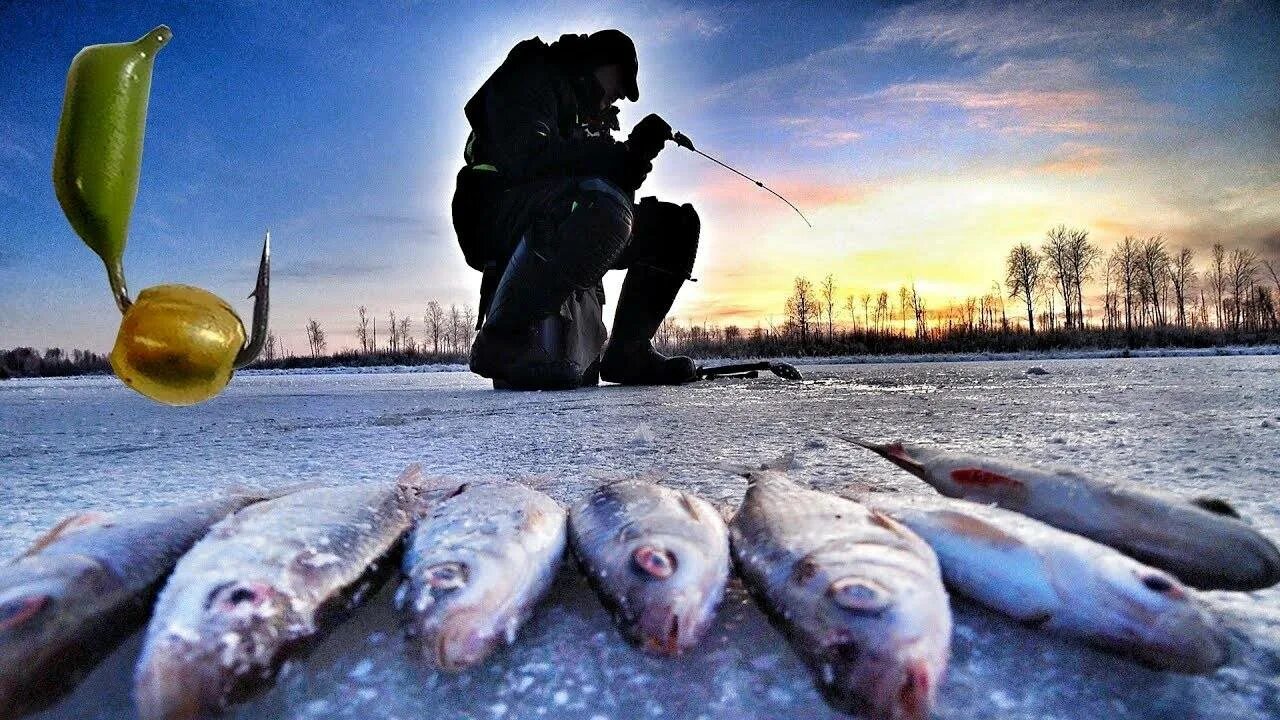 Подледный лов рыбы. Зимняя рыбалка. Рыбаки на льду. Зимняя рыбалка первый лед. Рыбак зимой.