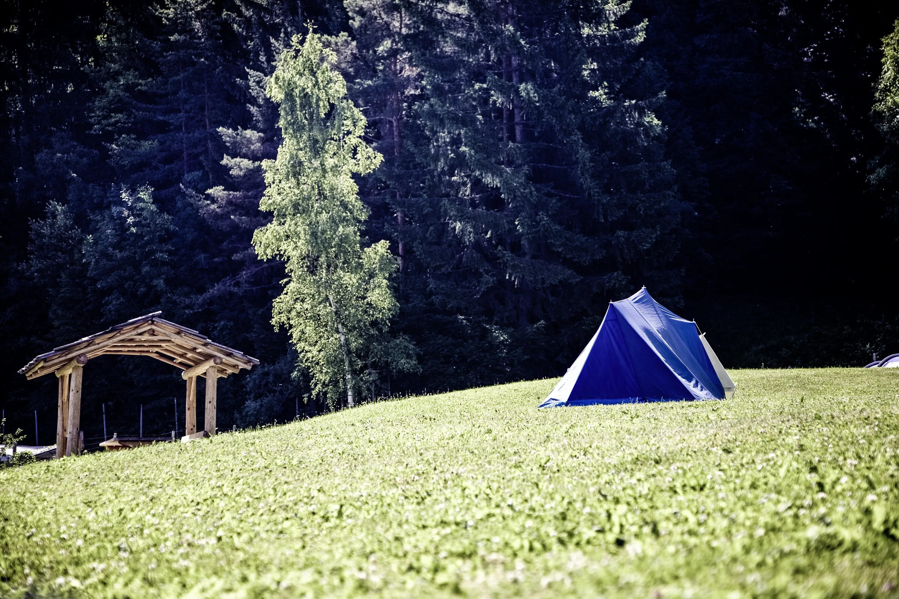 Camping outdoor. Палатка. Палатка на природе. Туристическая палатка на природе. Туризм с палатками.