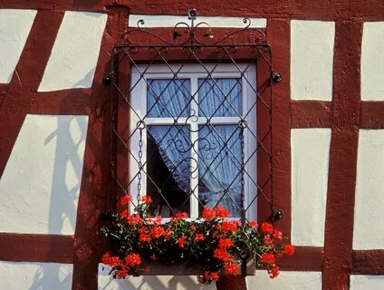 Window market
