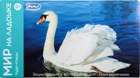 Чудо умница
