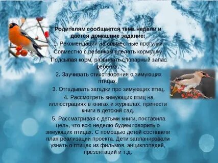 Стихи про зимующих птиц для детей