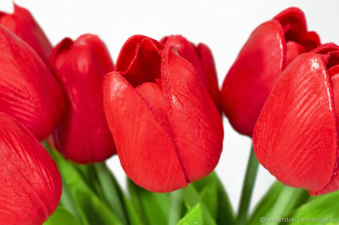 Тюльпан Red proud (1шт.). Артемис тюльпан красный. Красные тюльпаны. Искусственные тюльпаны. Купить тюльпаны недорого интернет магазин