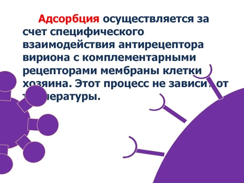 Адсорбция вириона на клетке. Адсорбция вируса на клетке. Адсорбция это микробиология. Адсорбция вируса