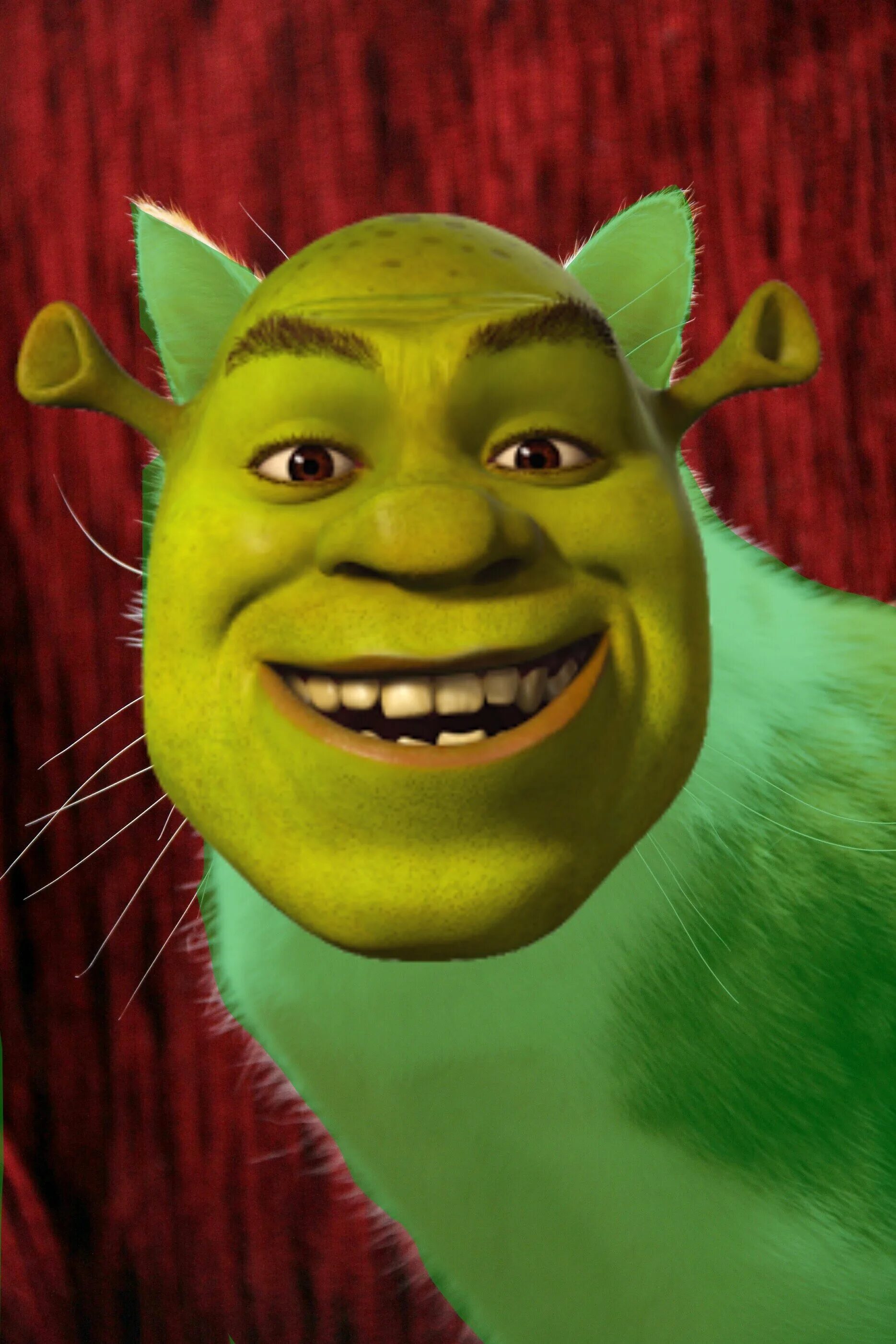 Кем был шрек. Шрек. Shrek 1996. Шрек Салливан. Шрек 1998.