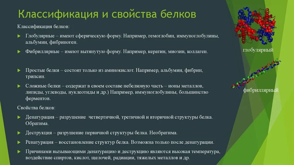 Общие свойства белка. Белки классификация функции. Биохимическая характеристика белков. Классификация сложных белков по функции. Классификация белков химия кратко.