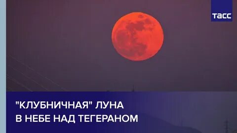 Луна кома