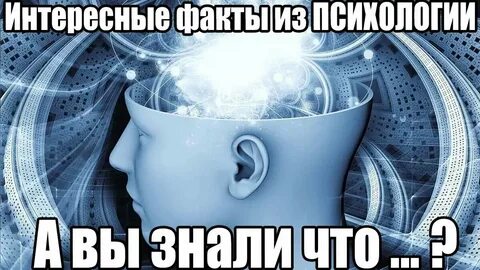 Интересные факты о внимании