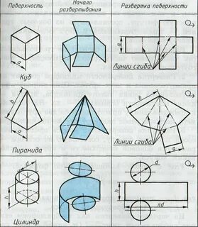 Создание объемной модели развертки 7 класс