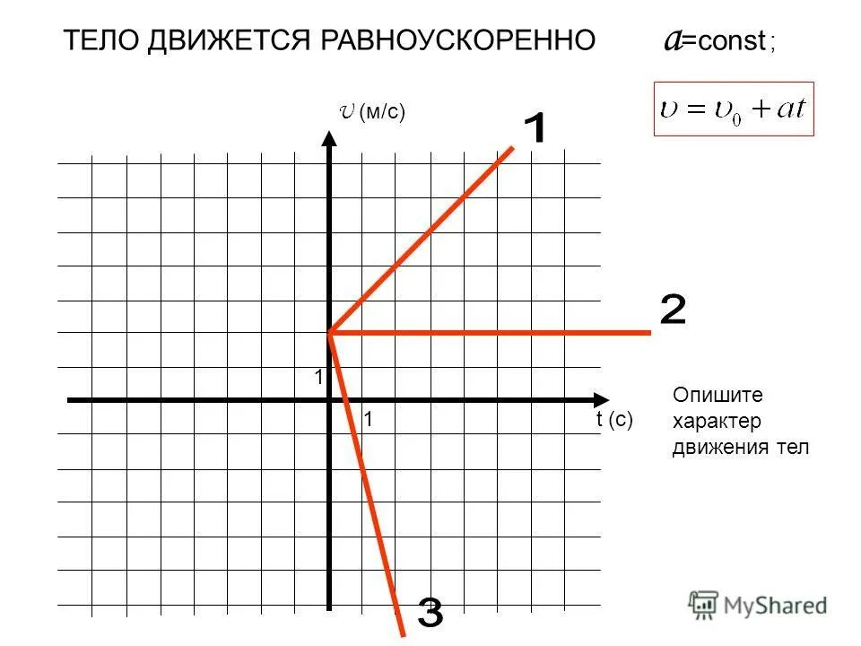 опишите характер движения тел