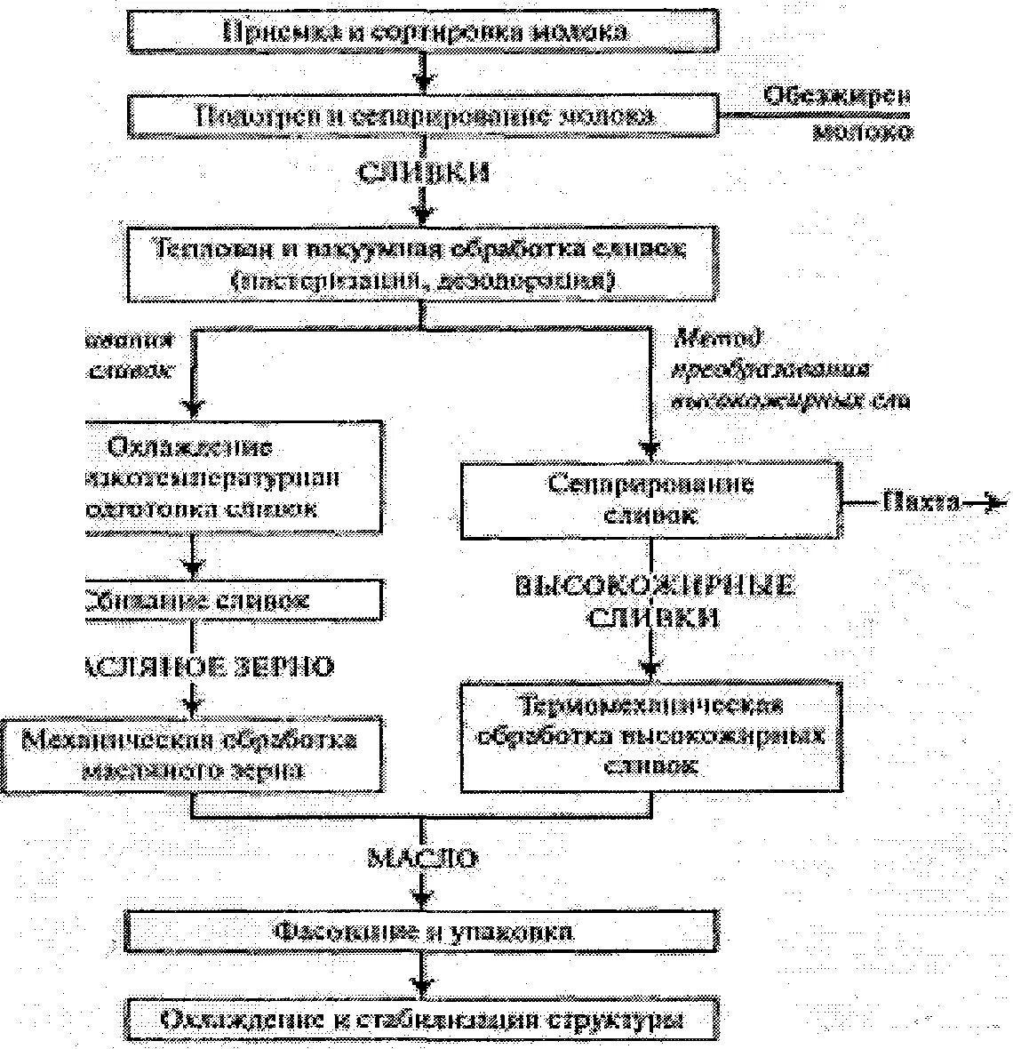 Схема сливочного масла. Блок схема производства масла сливочного. Технология производства сливочного масла методом сбивания. Технологическая схема производства сливочного масла. Технологическая схема производства коровьего масла.