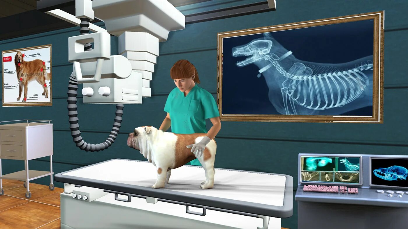 Игра Pet vet. Игра Pet vet 3d animal Hospital. Pet Doctor Hospital игра. Pet 99 wiki