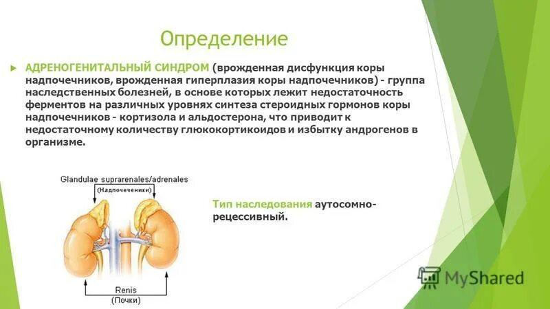 Врожденная дисфункция коры надпочечников наследуется. Врожденный дефицит коры надпочечников. Адреногенитальный синдром механизм развития. Этиология врожденной гиперплазии коры надпочечников. Нарушение функции надпочечников