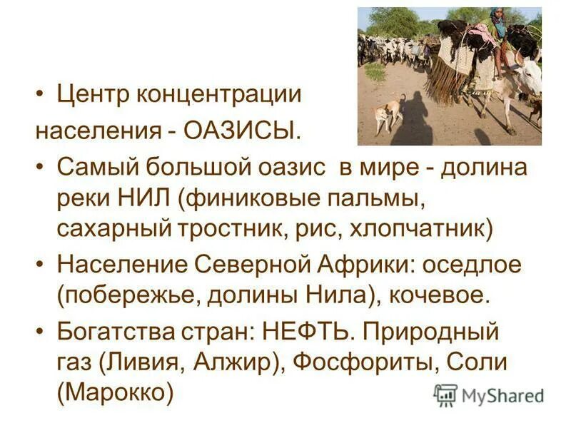 концентрация населения в больших городах. концентрация на центр. центры концентрации населения. центры концентрации населения. концентрация населения в крупных городах.