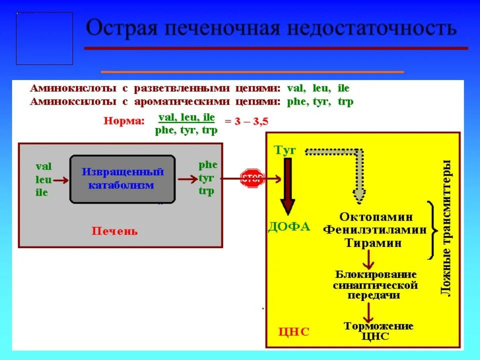 Печеночная недостаточность рекомендация. Острая печеночная недостаточность. Острая печеночная недостаточность патогенез. Патогенез при острой печеночной недостаточности. Острая печеночная недостаточность схема.