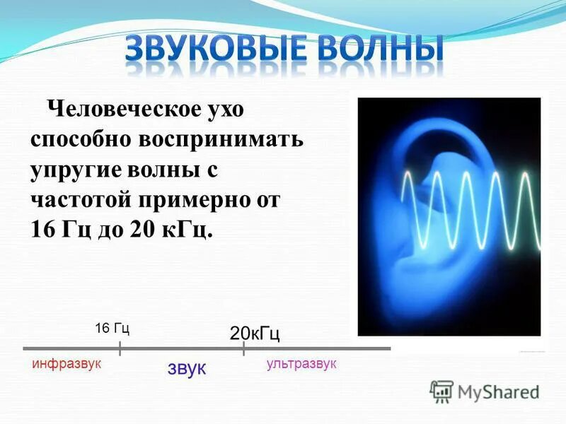 Звуковые волны определенной частоты. Инфразвук частота менее 20 Гц. Звук инфразвук ультразвук. Звуковые колебания ультразвук. Частота звуковой волны.