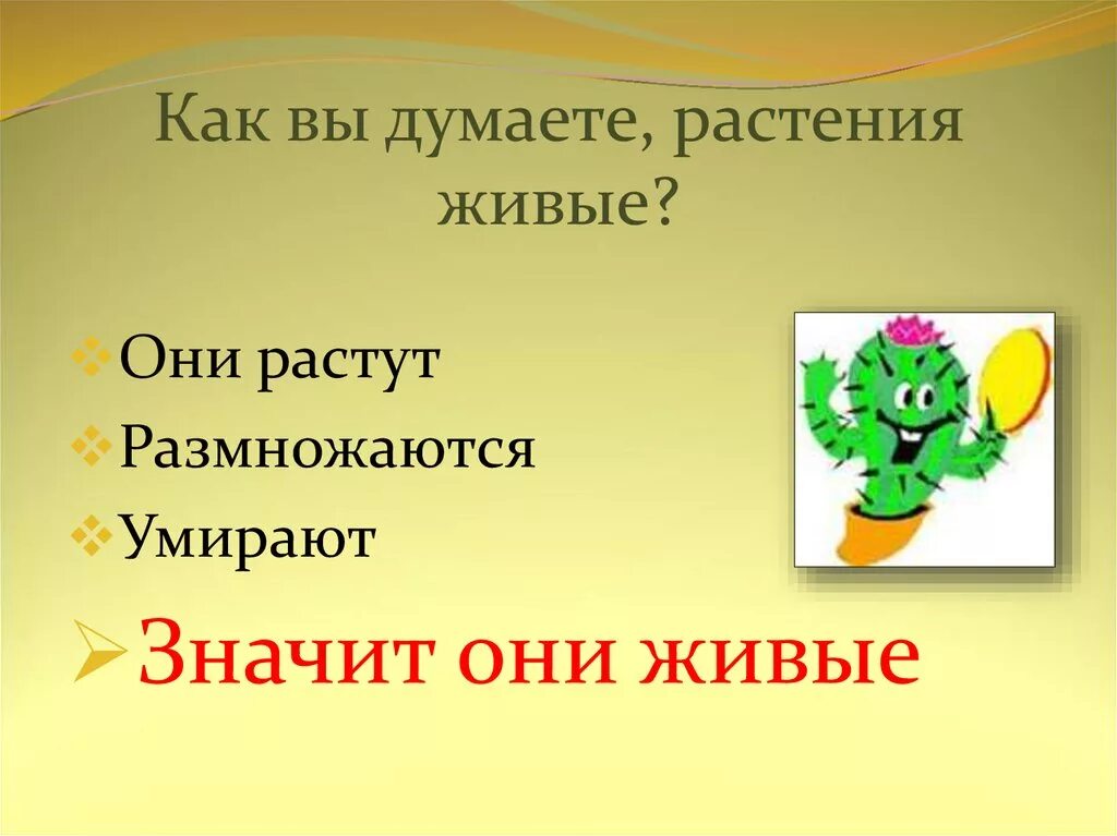 Растения первый класс. Презентация как живут растения. Как живут растения 1 класс презентация. Растения - живые презентация. Сообщение о живых растениях.