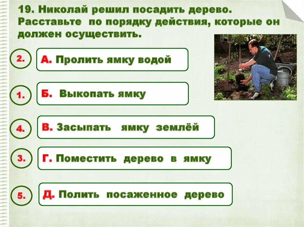 Расставьте действия в нужном порядке алгоритм. Порядке действий посадки дерева. Алгоритм посадить посадить дерево. Расставьте деревья по порядку. Алгоритм посадки дерева.