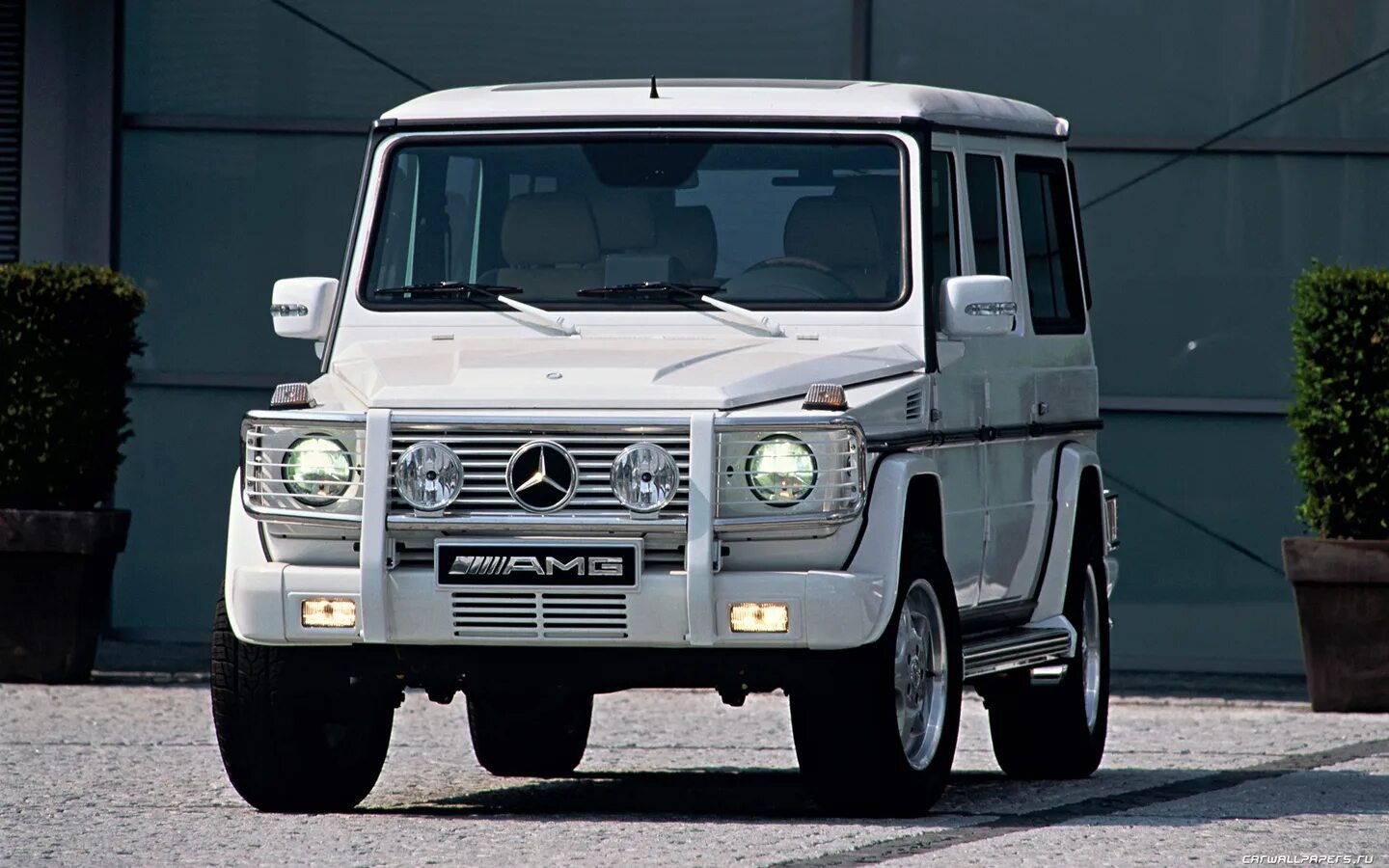 Mercedes (mercedesthedancerxo). Mercedesthedancer onlyfansслив. Валентинки mercedes. Мерседес велентайм. Mercedes valentine.