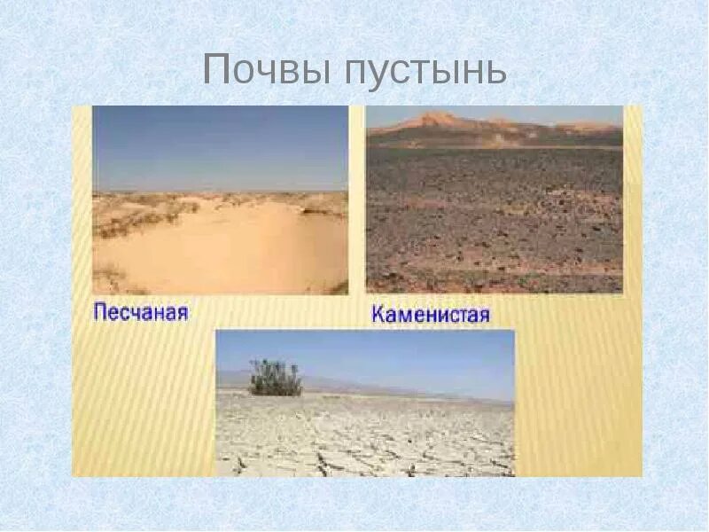 Почва зоны тропических полупустынь и пустынь. Почвы пустынь и полупустынь африки. почвы в пустынях и полупустынях африки. полупустыни и пустыни африки почвы.