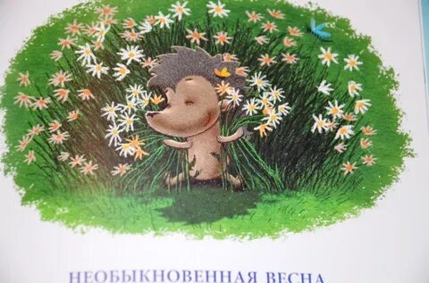 Необыкновенная сказка