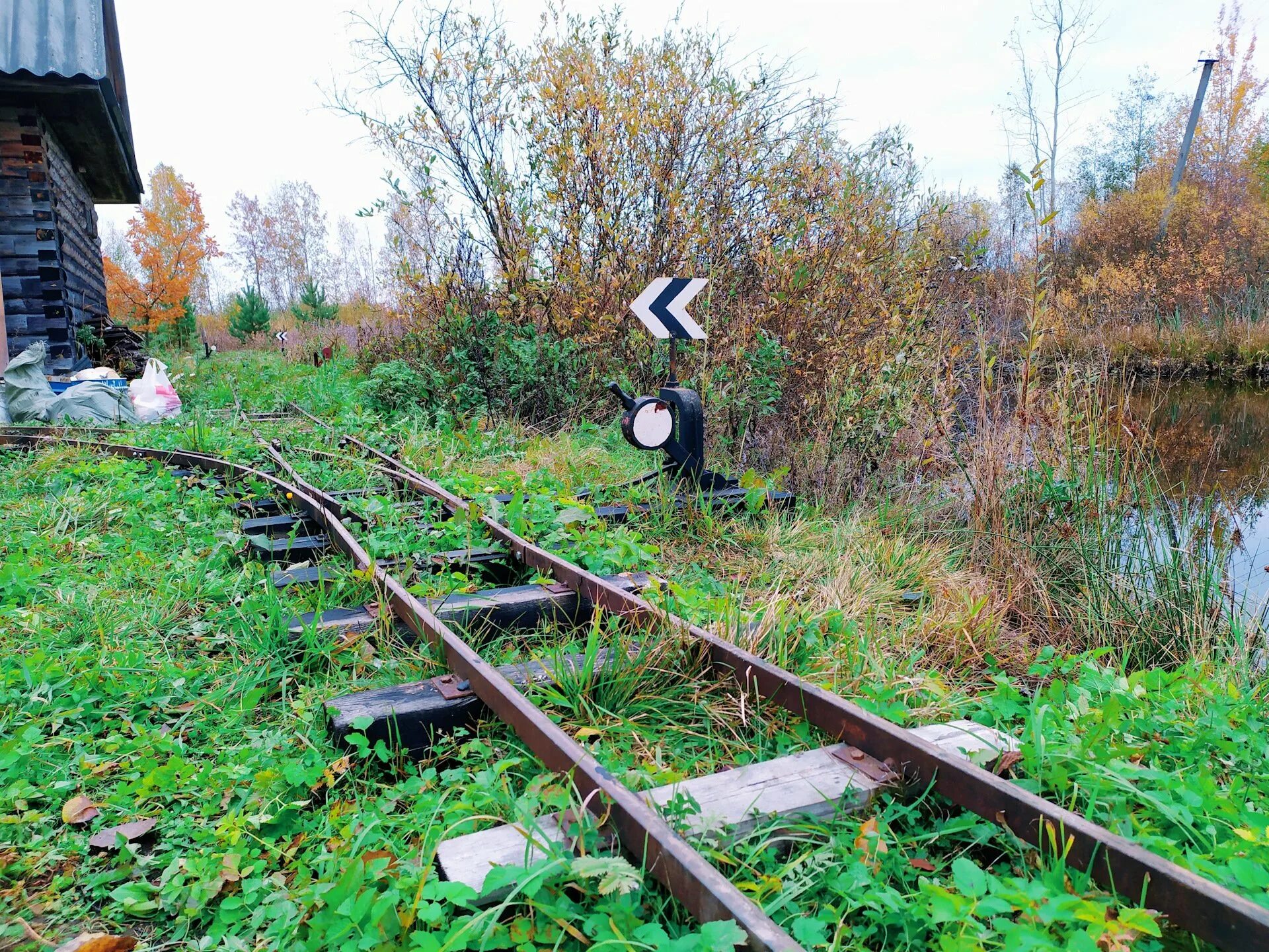 Самодельная дорога. Садовая ЖД. ЖД на даче. Узкоколейка на даче. Дачная железная дорога.