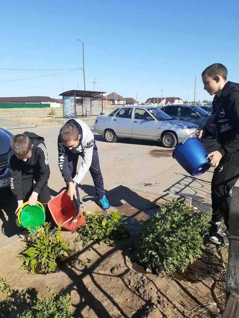 Погода вострово алтайский волчихинский район. Село Селиверстово Волчихинский район Алтайский край. Вострово Алтайский край Волчихинский район. Благоустройство школьной территории. Алтайский край Волчихинский район школа с Солоновка.