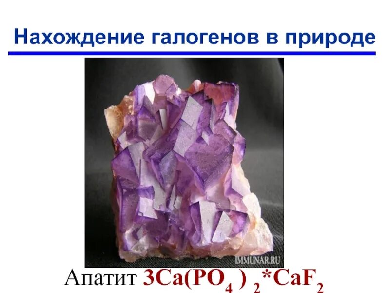 Нахождение галогенов в природе. Соединения галогенов в природе. Нахождение в природе голоненов