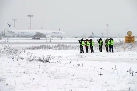 Погода в аэропорту домодедово на неделю