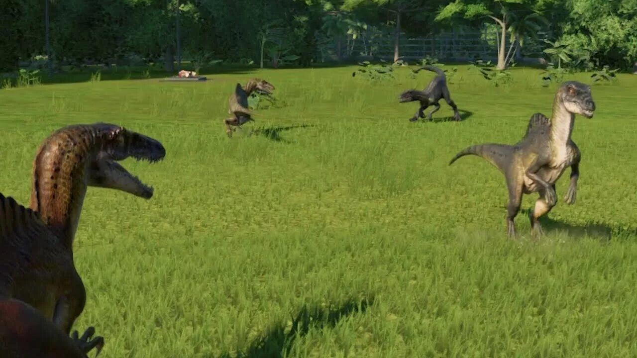 Спинораптор. Карнораптор Jurassic World Evolution. Megaraptor Jurassic World. Покажи индораптора. Индораптор самая Старая версия.