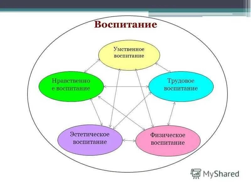 Основные составляющие воспитания. Нравственно-эстетическое воспитание. Взаимосвязь физического воспитания с эстетическим. Нравственно Трудовое воспитание. Умственное физическое нравственное эстетическое воспитание это.