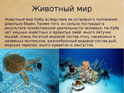 Куба интересные факты