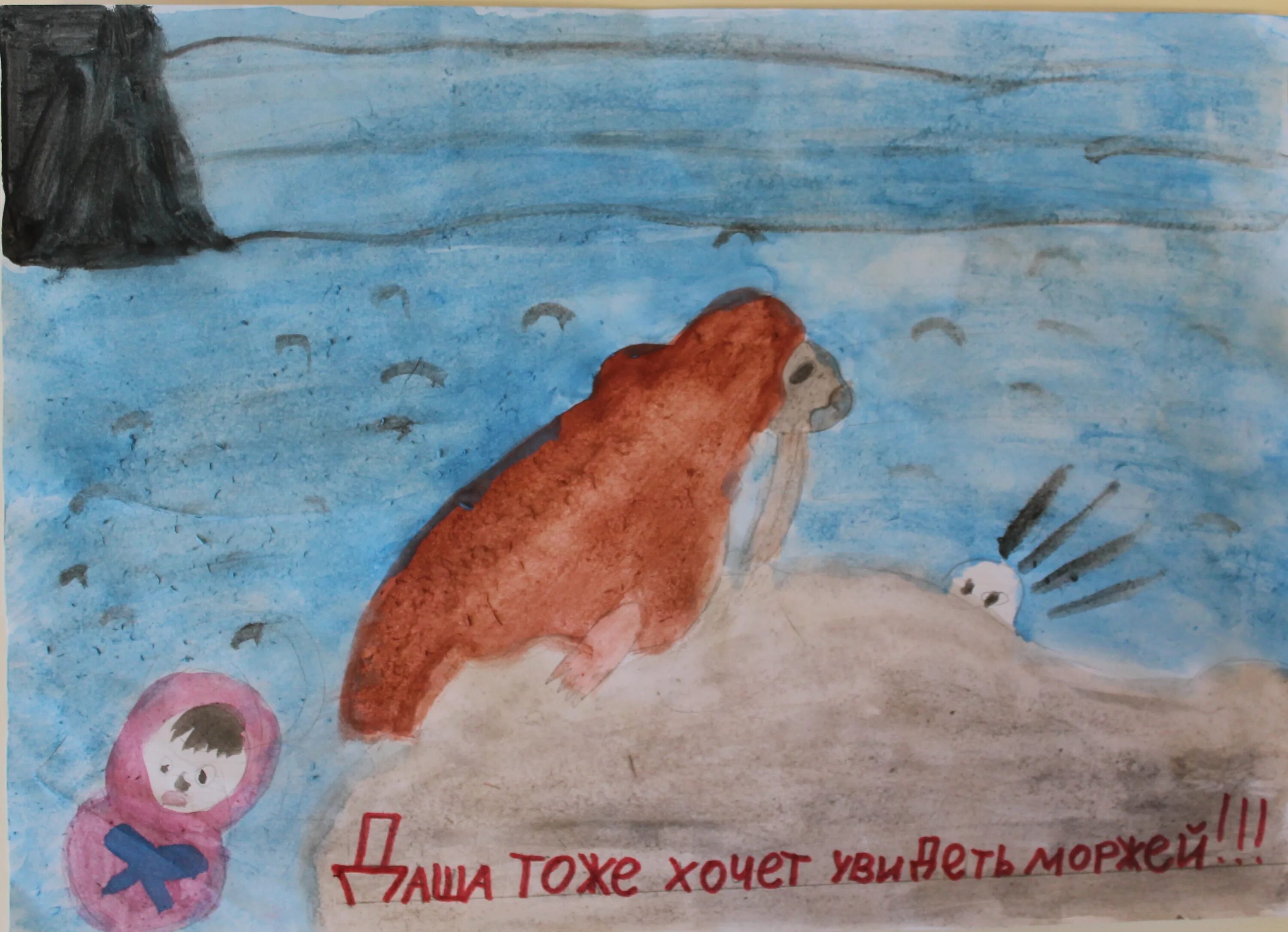 Берегите моржей