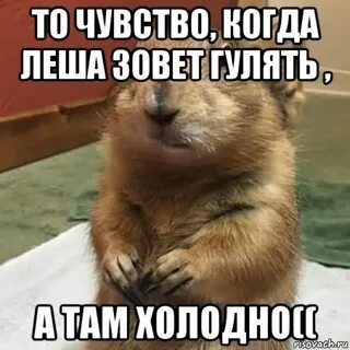 Если парень зовет гулять