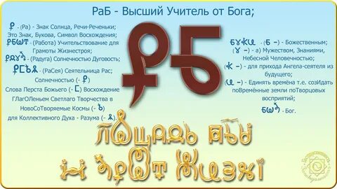 11 раб
