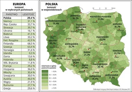 Лесистость польши