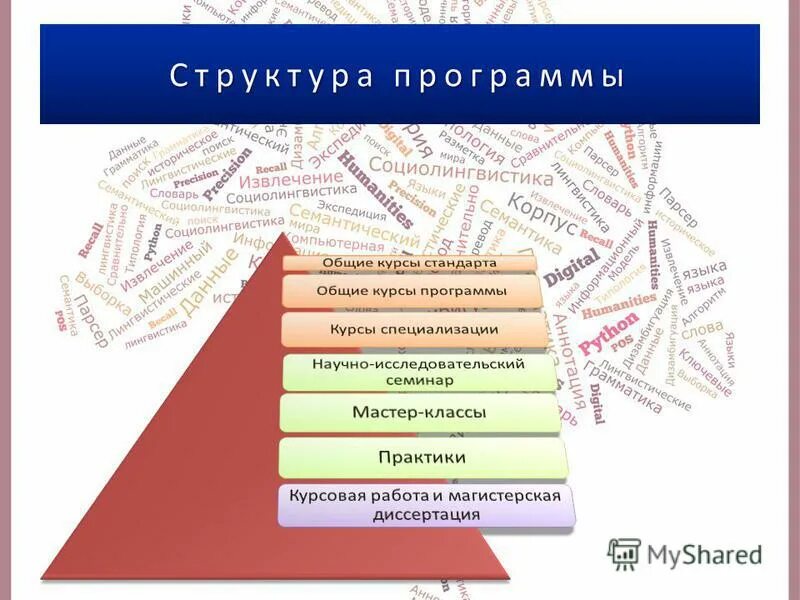 Теория языка программа. Что изучает теория языка. Теория языка программа. Теория языка программа. Теория языка программа.