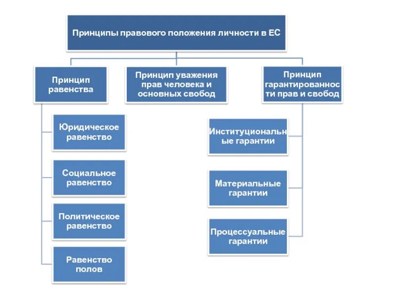 Принципы свободы и равенства. Принципы прав человека схема. принципы правового статуса человека и гражданина в европейском союзе. принципы права европейского союза. принципы правового положения.
