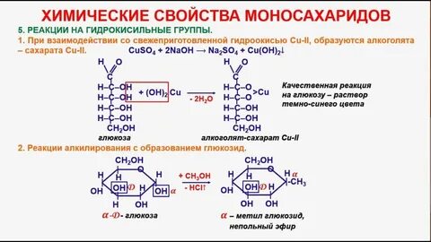 Фруктоза егэ