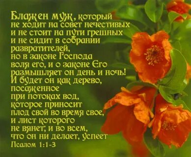 Блажен неверующий