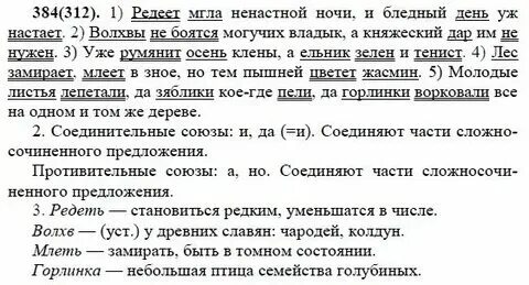 Русский язык 6 класс упр 384