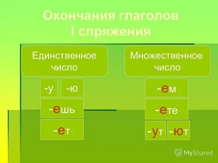 Племя единственное число