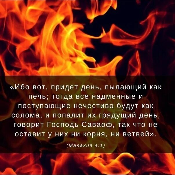 У камина стих. Жаркий огонь полыхает текст. Жаркий огонь полыхает текст. Пламя полыхает глаголы. Жаркий огонь полыхает текст.