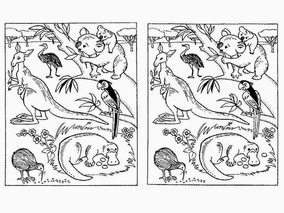 Задания животные жаркие страны. Кроссворд про австралию на английском языке для 3 класса. Задания по теме австралия. Растительность австралии раскраска. Австралия раскраска для детей.