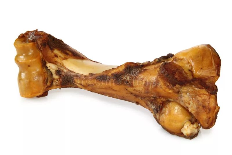 Большая косточка. Кости для собак рука с косточкой. Собачья радость говяжья кость.