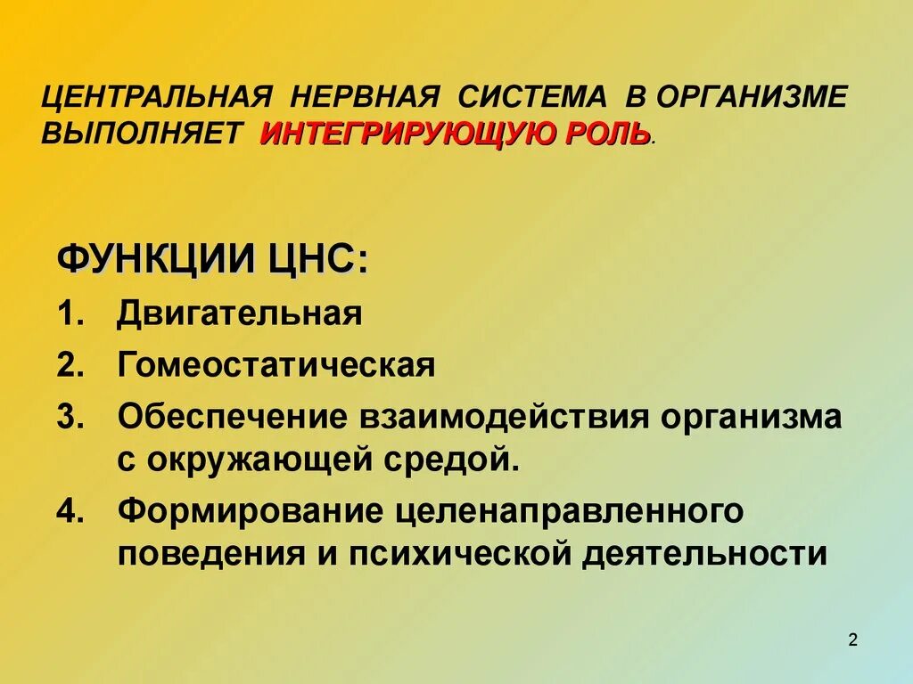 Функции ЦНС. Функции центральной нервной системы. ЦНС, ее основные функции.. Основные функции ЦНС.