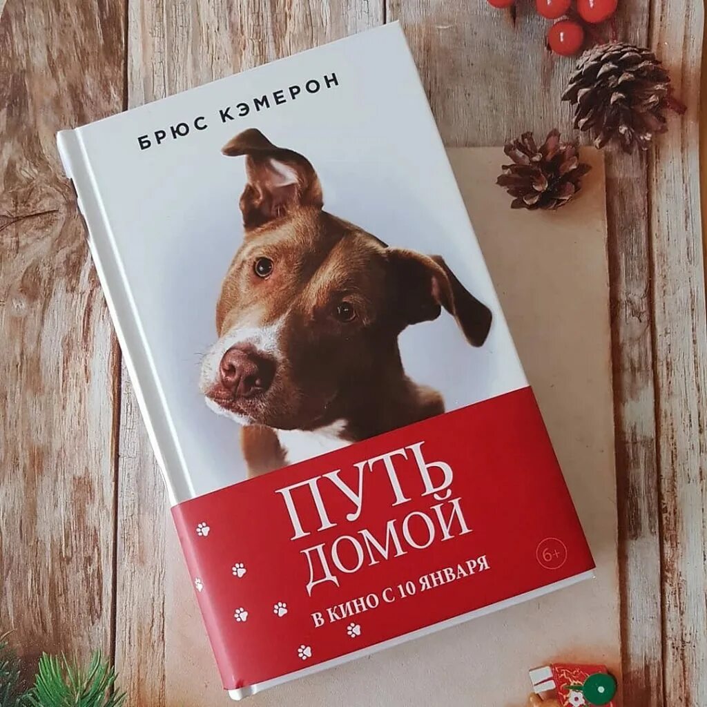 Брюс кэмерон. Путь домой Брюс Кэмерон книга. «Путь домой» Брюса Кэмелона. Путь домой книга.